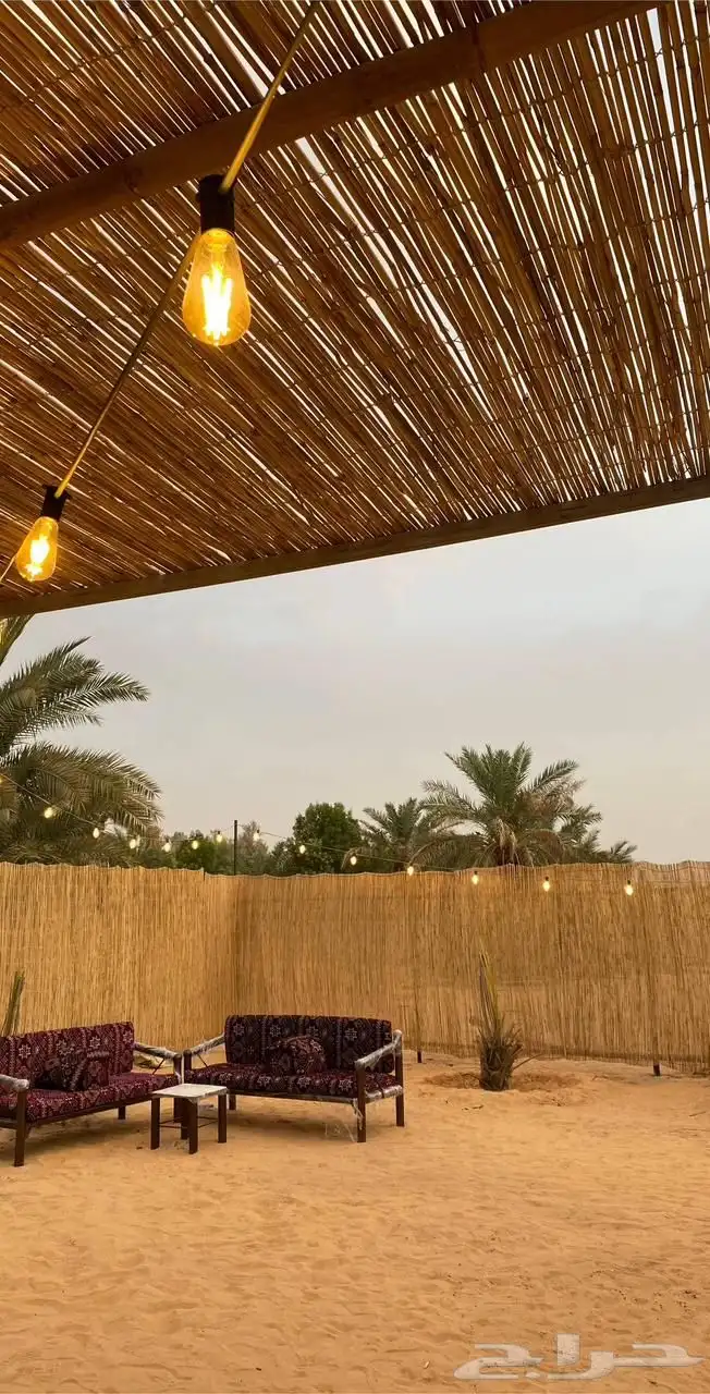 ساتر خيزران طبيعي   ديكور خارجي للحدائق استراحة مزرعة 29
