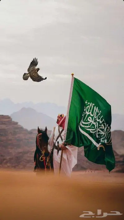 تصاميم وموشن جرافيك اليوم الوطني 0