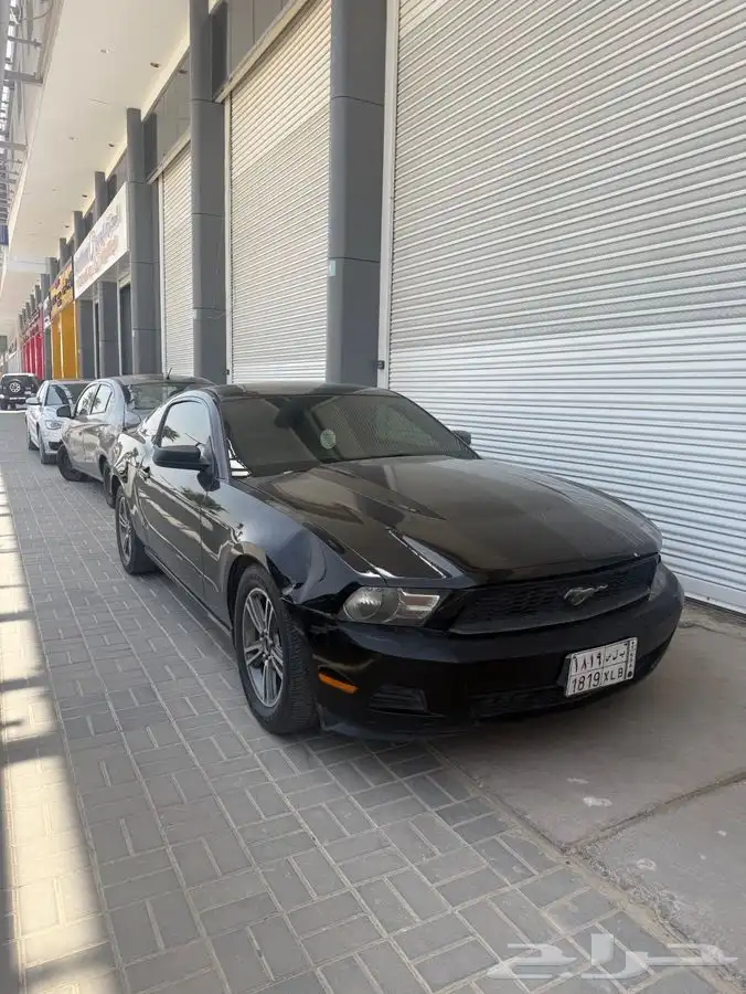 موستنج 2010 2