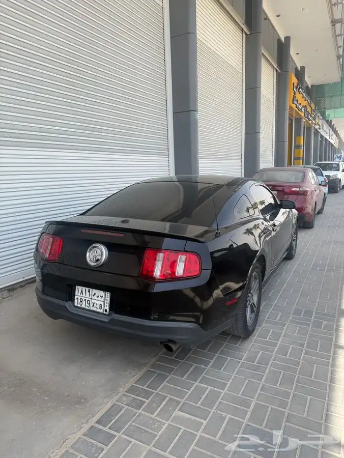 موستنج 2010 1