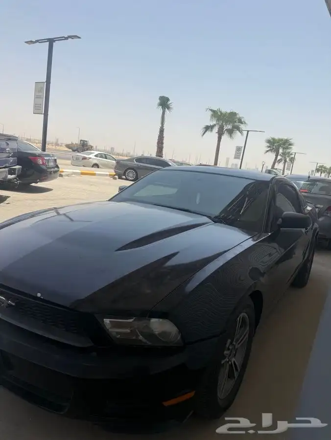 موستنج 2010 12