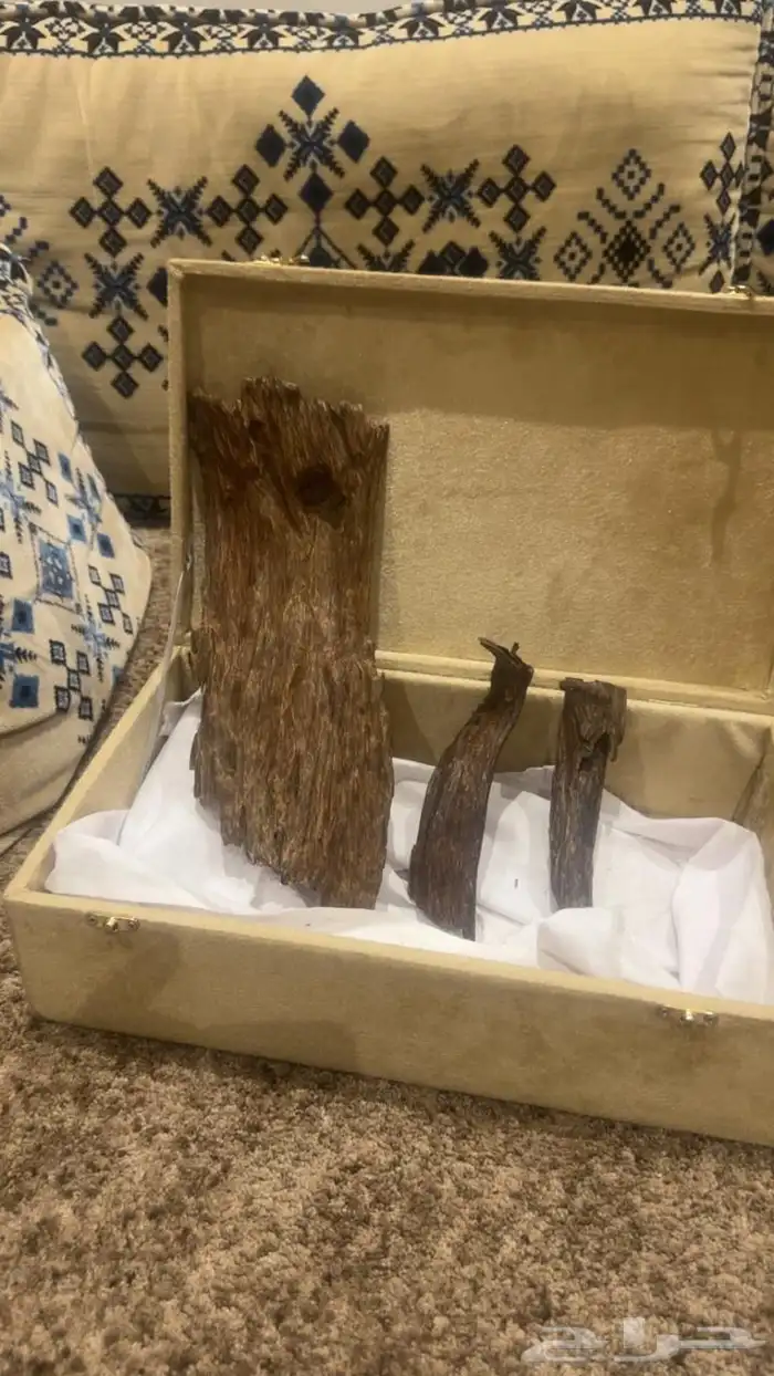 عود من النوادر كلمنتان 0