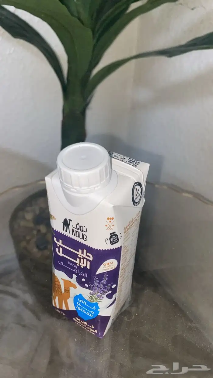 حليب نوق 2