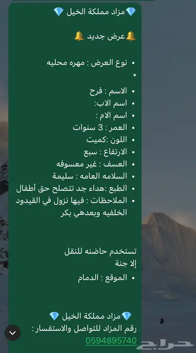 خيل 0