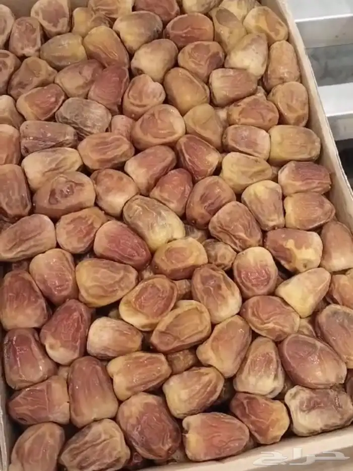 علب تمر افطار صائم جمله 0