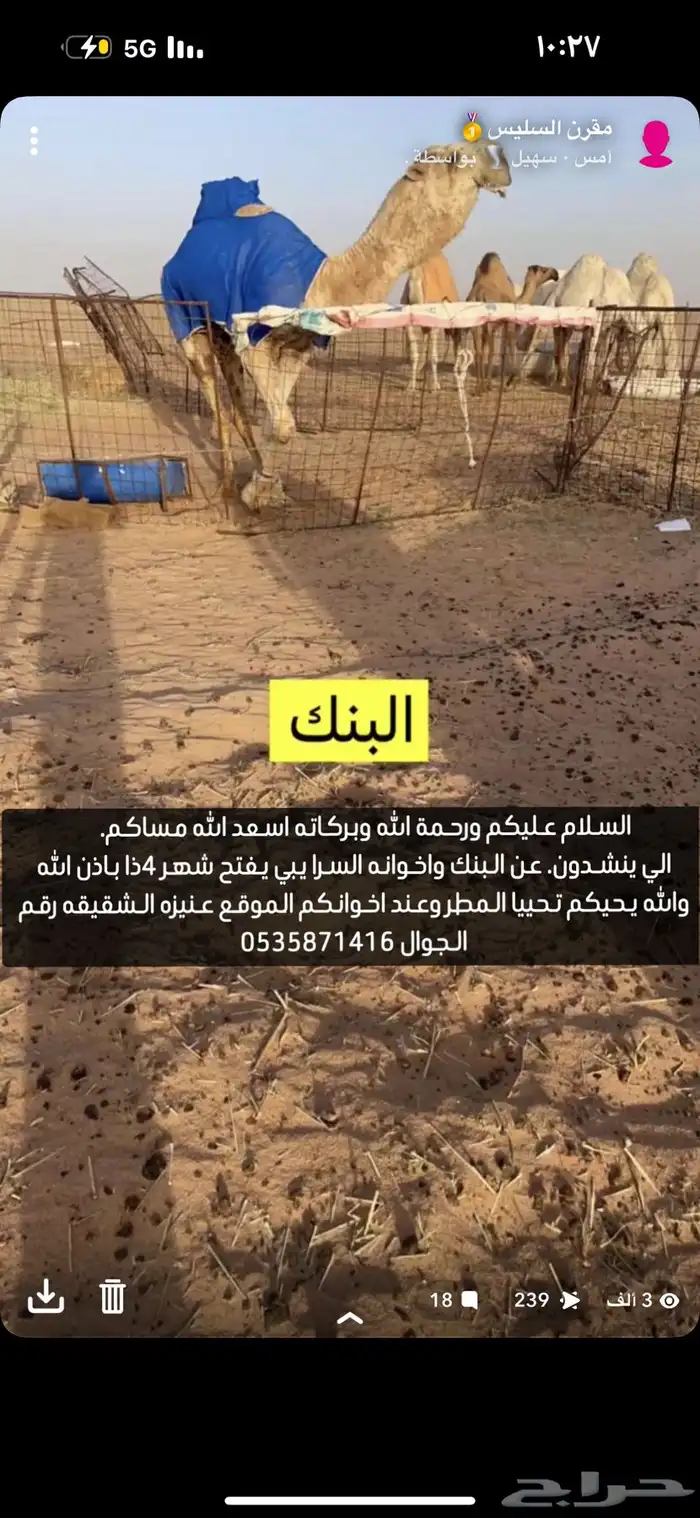 قعود كفووو 2