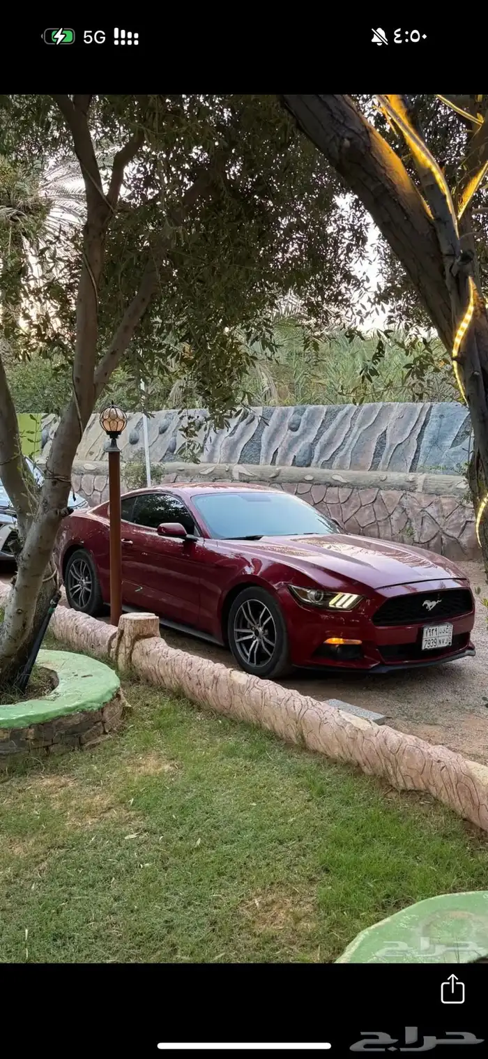 موستنق 0