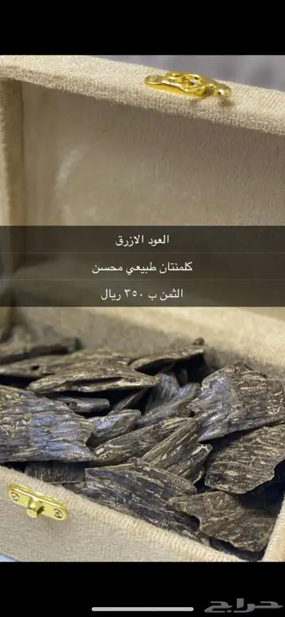 عروض خاصة عود مروكي وكلمنتان index