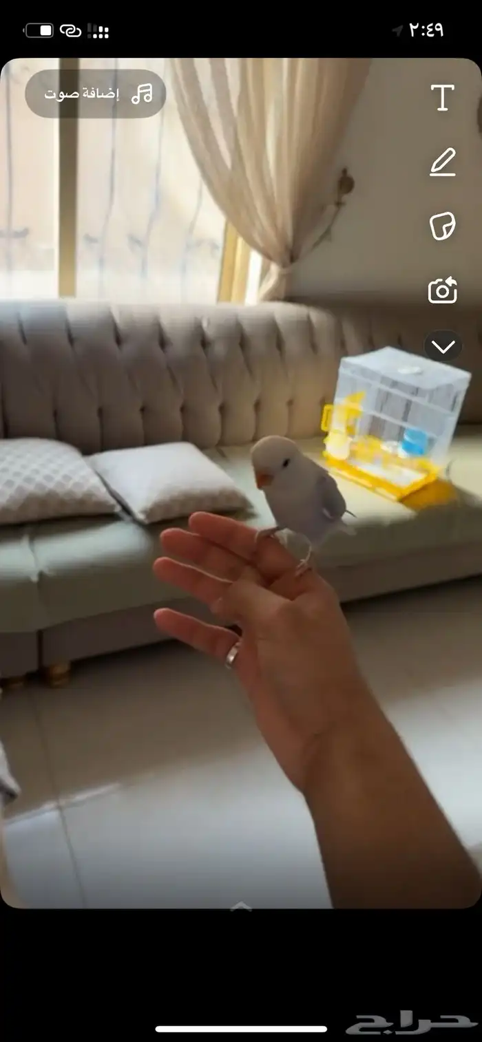 روز اليف وهدد ويحب يلعب 1