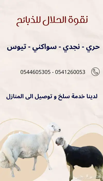 ذبائح نقوة الحلال 0