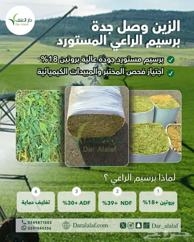 مستورد برسيم الراعي المصري index