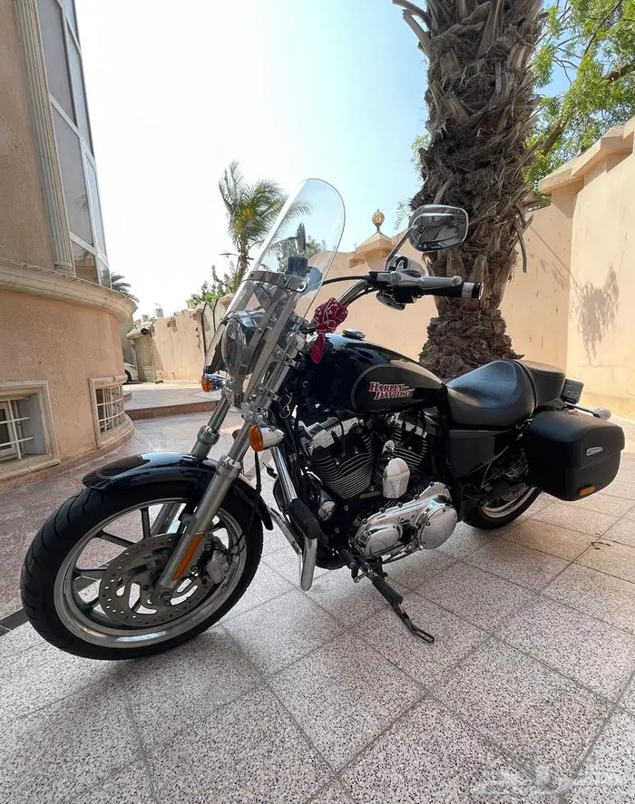 دباب هارلي  Sportster Super Low 1200T 2015 ABS وارد المطلق 2