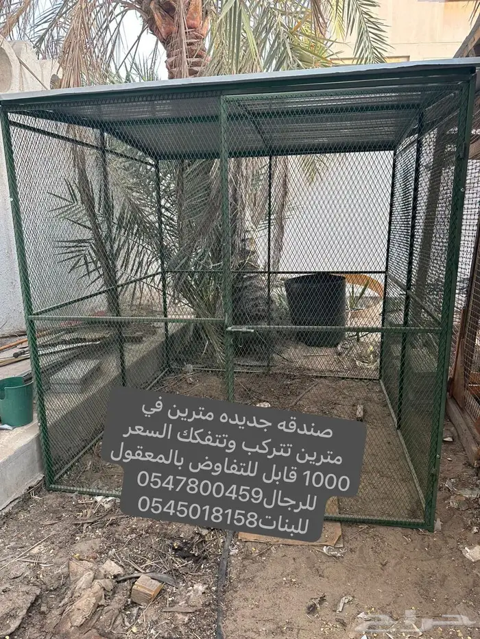 صندقم دجاج 0