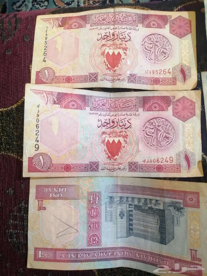 الاحساء مدينة الهفوف 2
