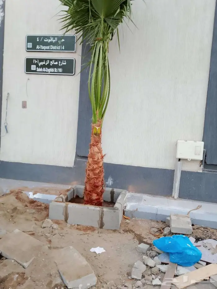 انخل للبيع 8