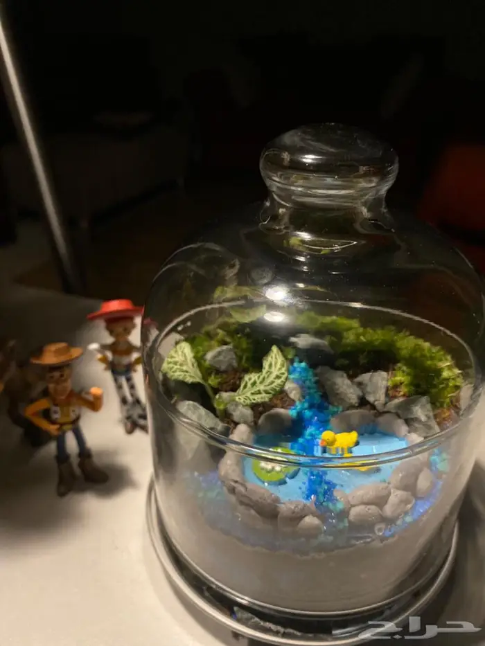 للبيع تيراريوم تم البيع 1