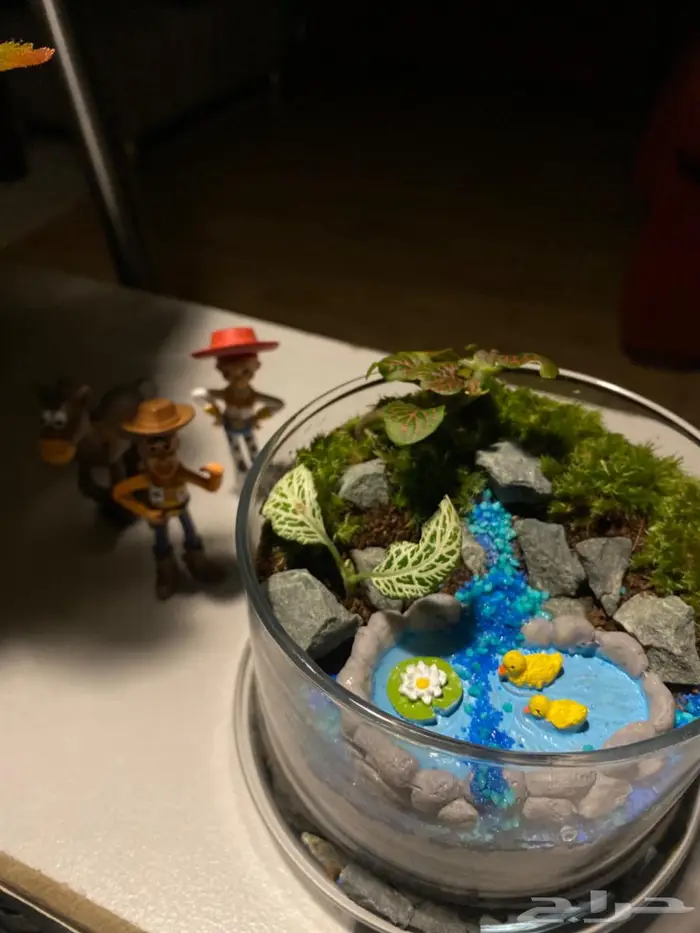 للبيع تيراريوم تم البيع 2