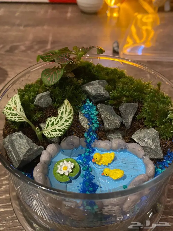 للبيع تيراريوم تم البيع 0