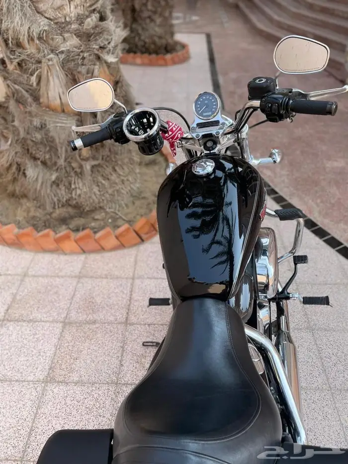 دباب هارلي  Sportster Super Low 1200T 2015 ABS وارد المطلق 6
