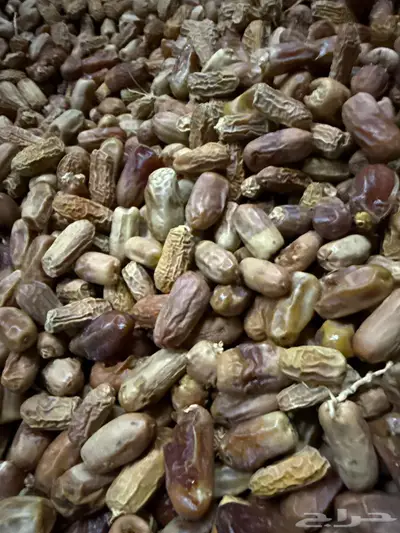عسفان 0