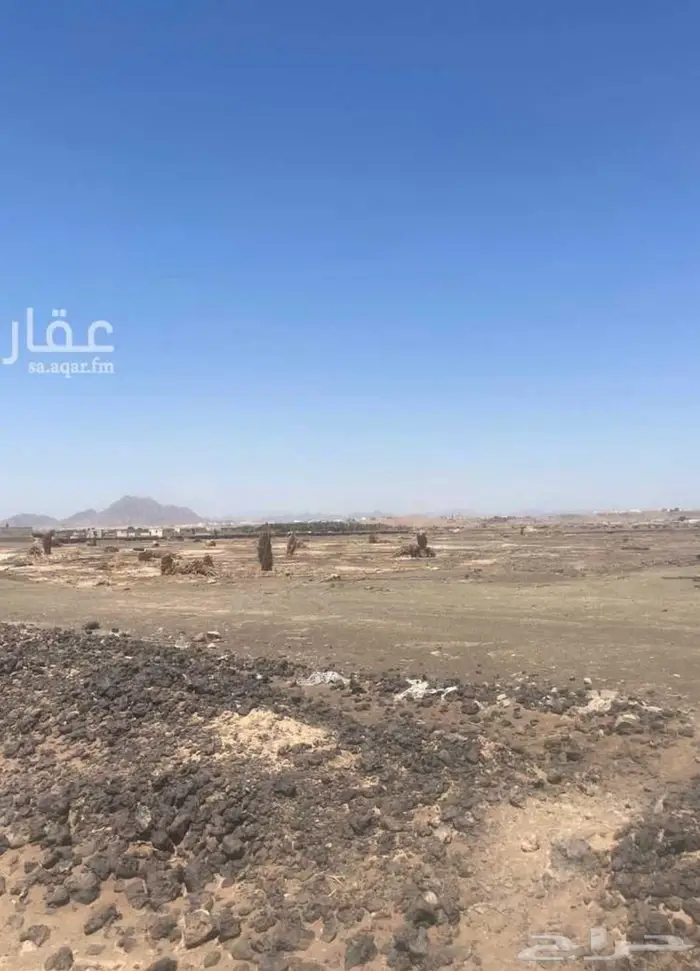 ارض بصك زراعي في حي العاقول ج للبيع لااعلى سوم 1