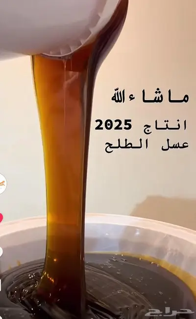 عسل طلح لبيع سعر الجملة index