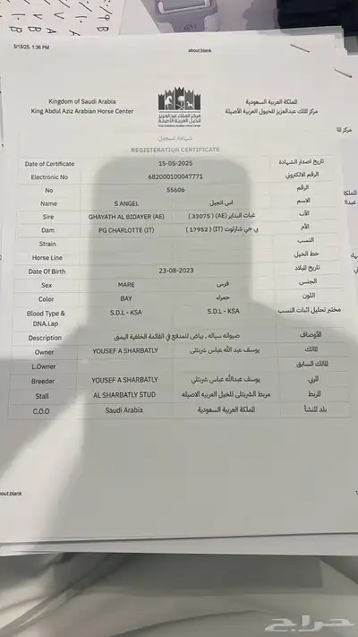 مهره مكس جمال فاخره وسعر مناسب index