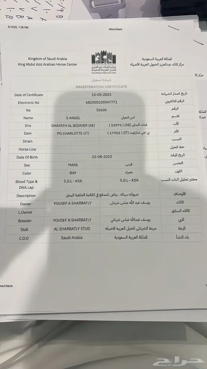 مهره مكس جمال فاخره وسعر مناسب 4