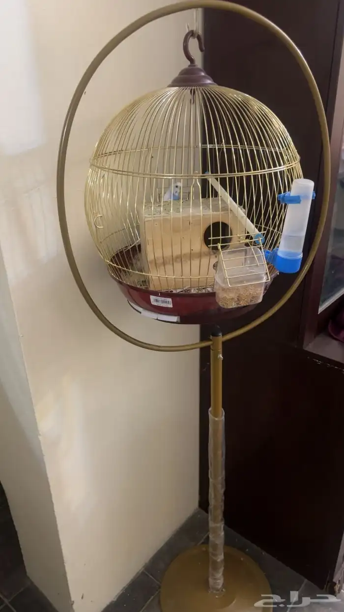 اجهزه 6
