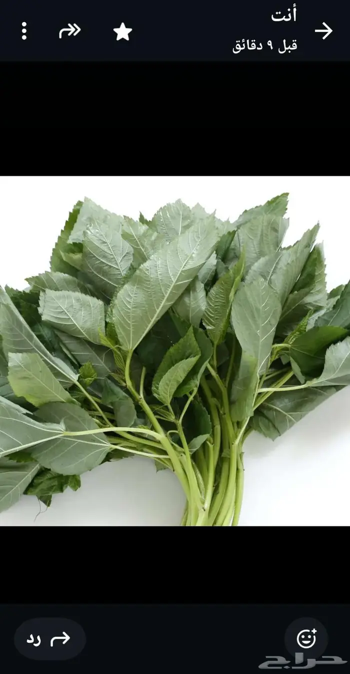 ملوخية مطحونة 0