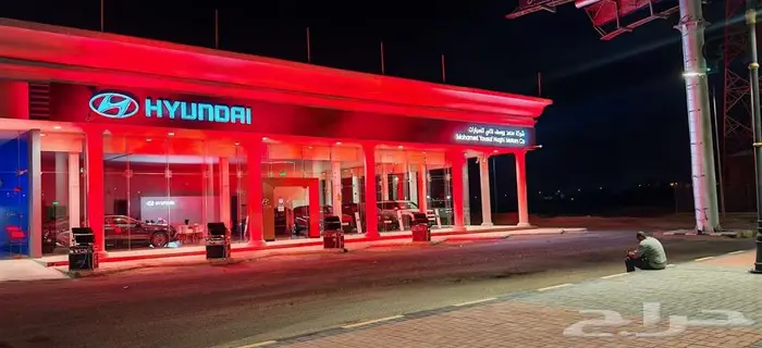كشافات اليوم الوطني 19