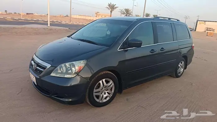اودسي 2005 8