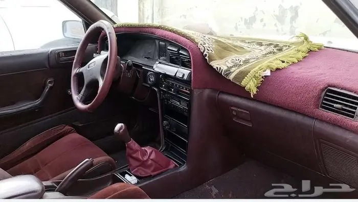 كرسيدا 93 شد بلد على يد شايب 3