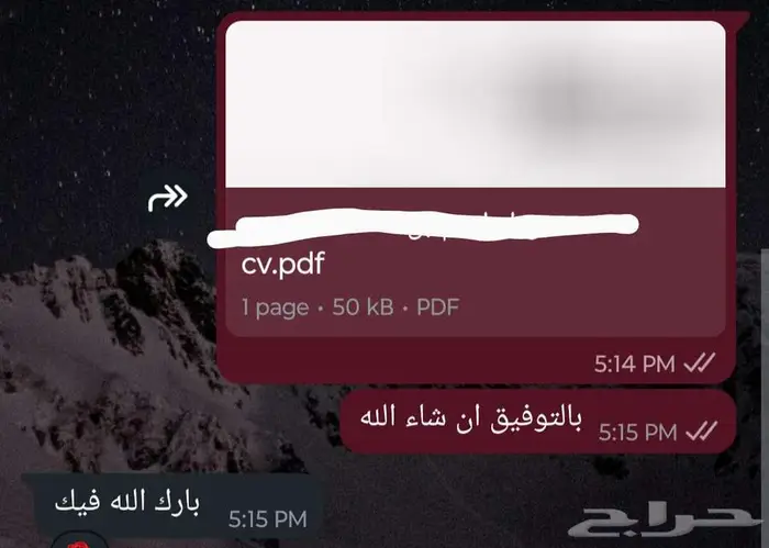 سيرة ذاتية (CV) متوافقة مع أنظمة التوظيف (ATS) بسعر رمزي 5