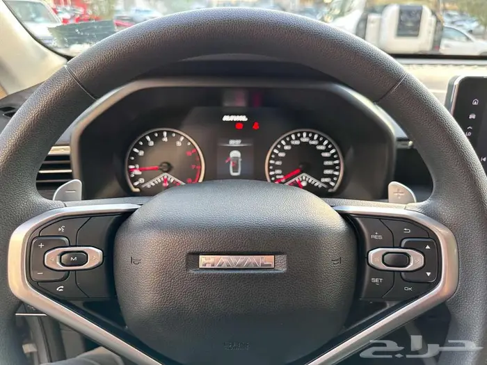 هافال جوليان 2024 14