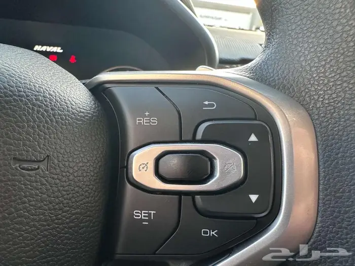 هافال جوليان 2024 23