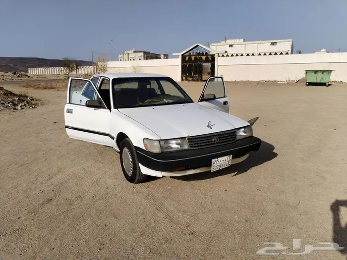 كرسيدا 93 شد بلد على يد شايب 1