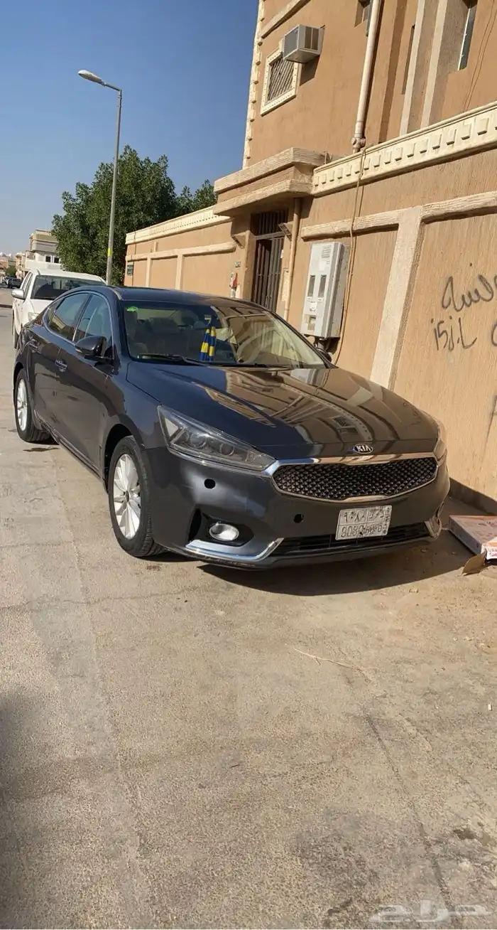 كادنزا 2018 1