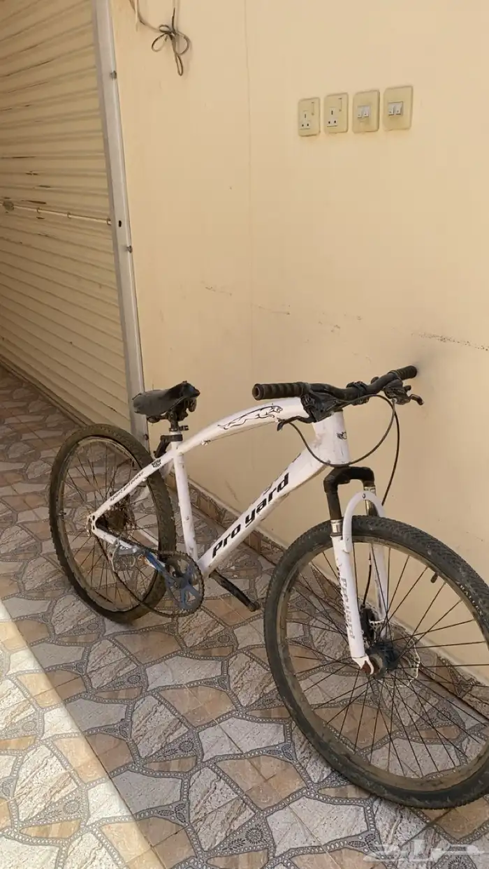 سيكل تعاشيق 1
