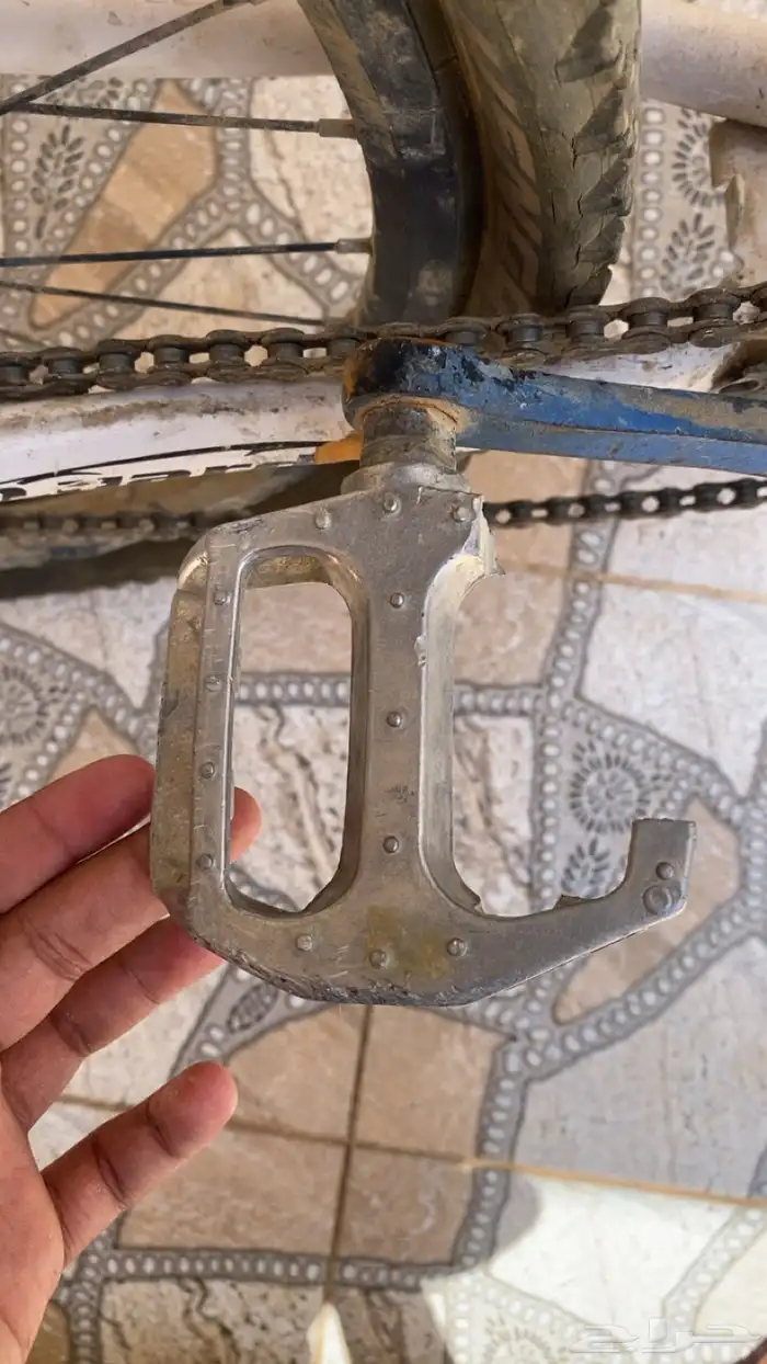 سيكل تعاشيق 0