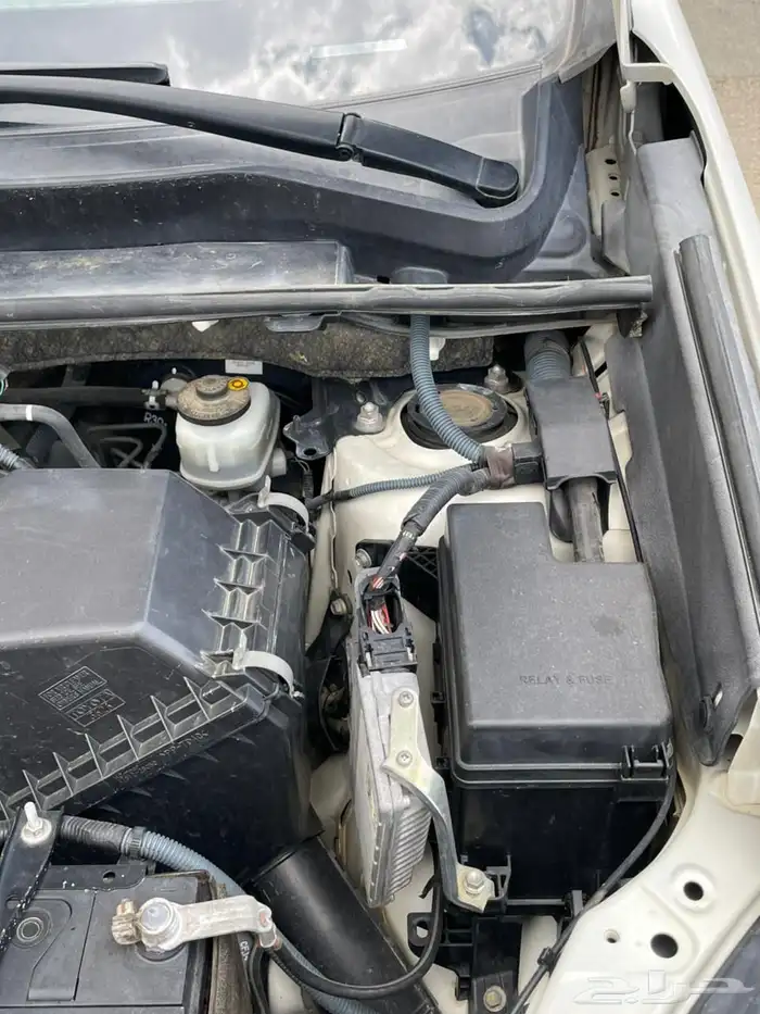 راف فور فل اخو الجديد 23