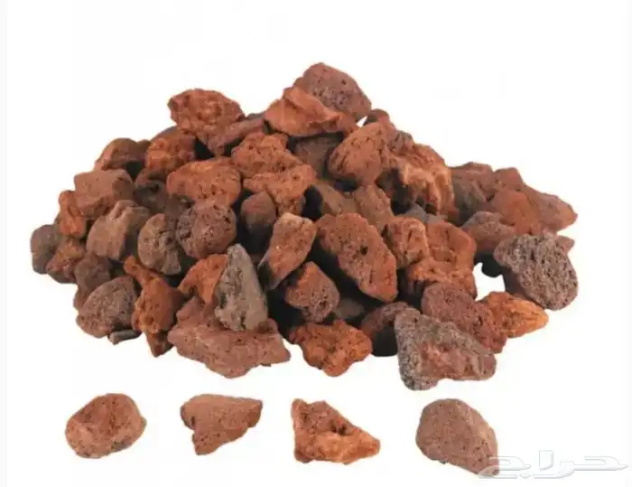 فحم بركاني لمطاعم البرجر 0