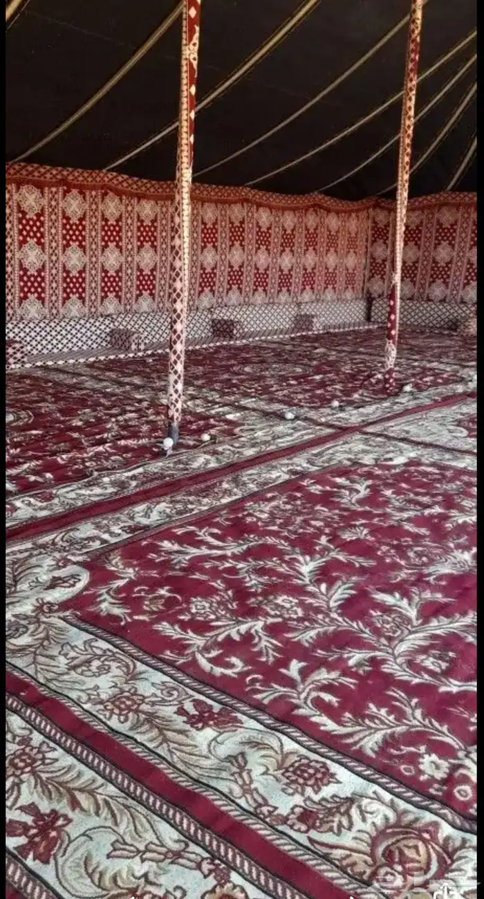 للايجار والمخيمات 4