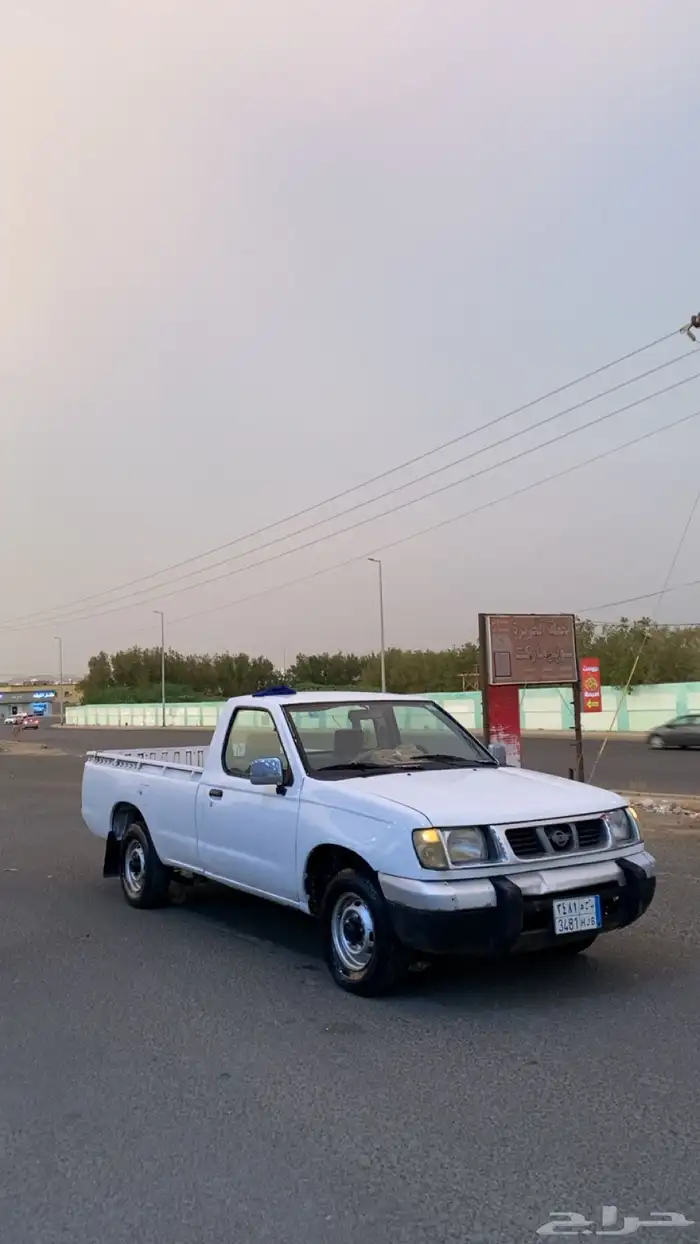 ددسن1999 مفحوص 5