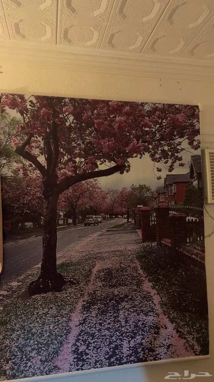 أدوات منزليه 7