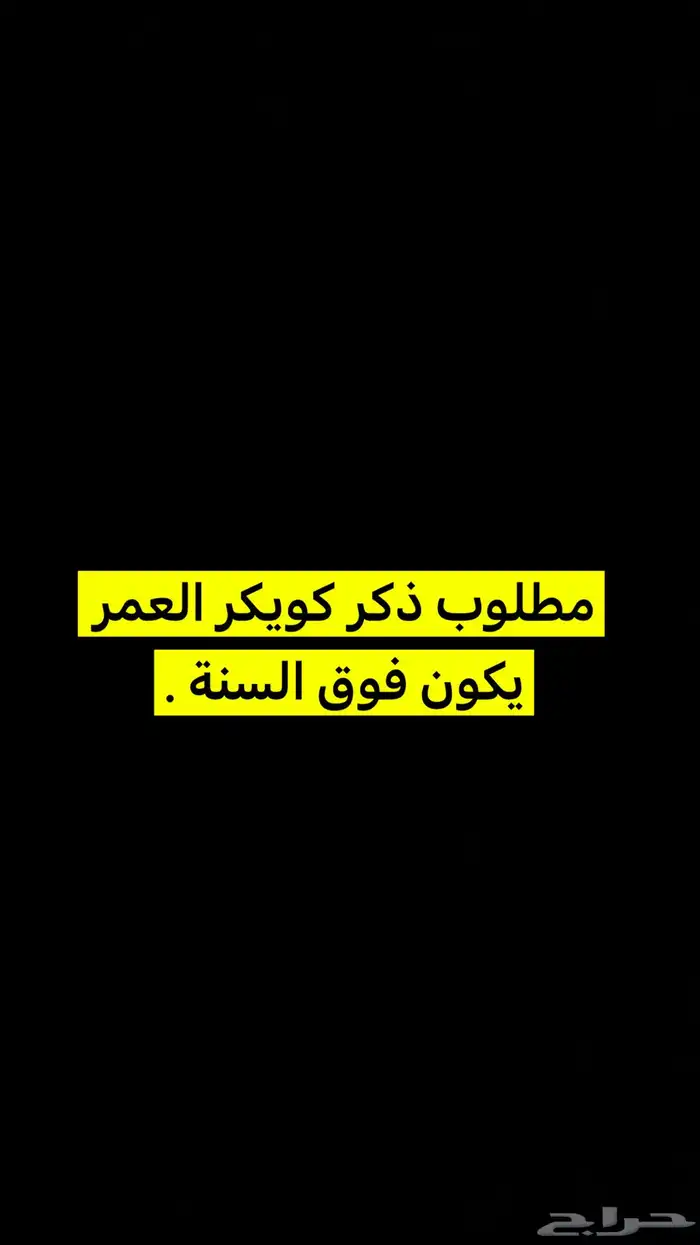 ذكر كويكر 0
