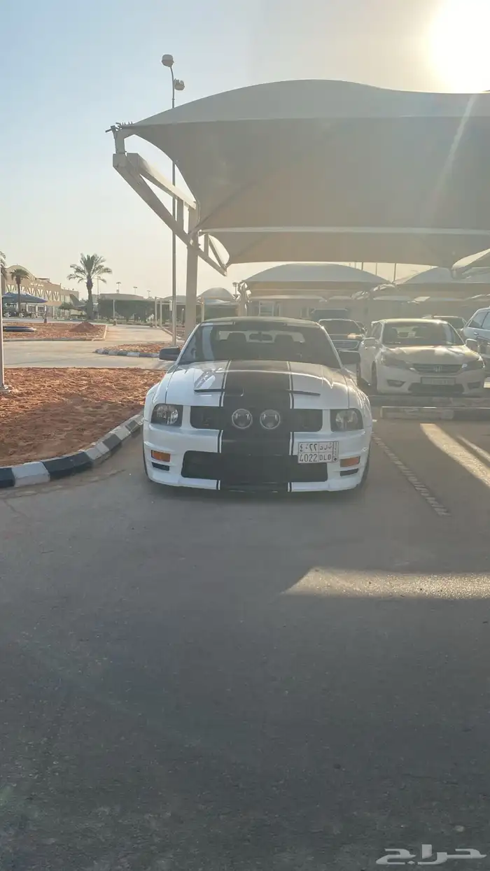 موستنق للبيع موديل 2006 1