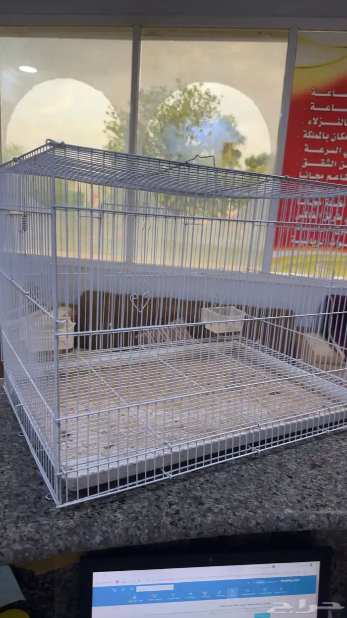 شبك طيور كبير 0