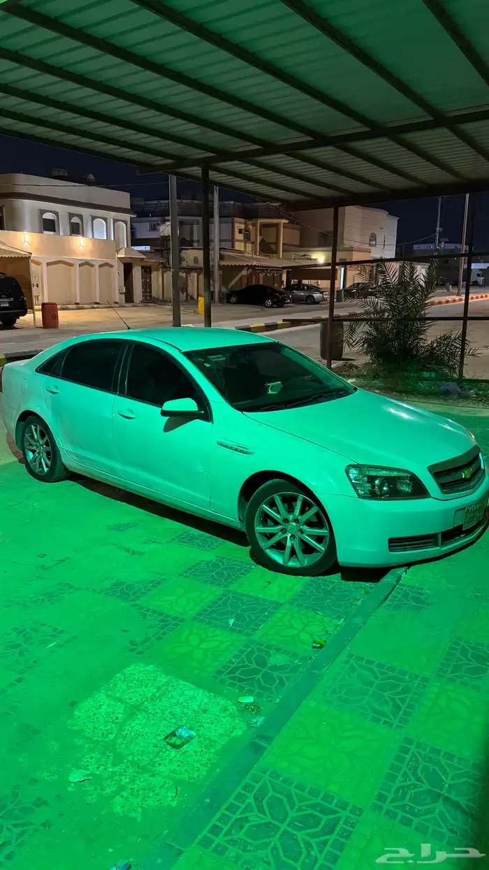 كابرس 2015 1