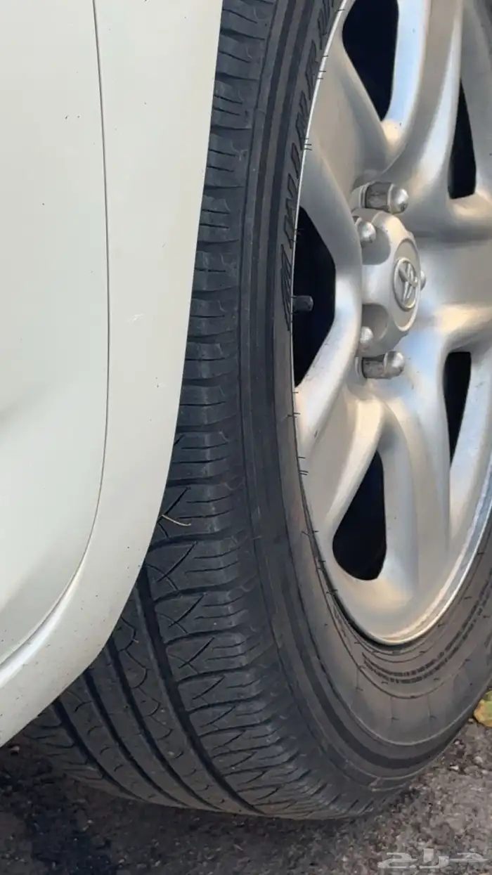 راف فور وكاله 2012 10